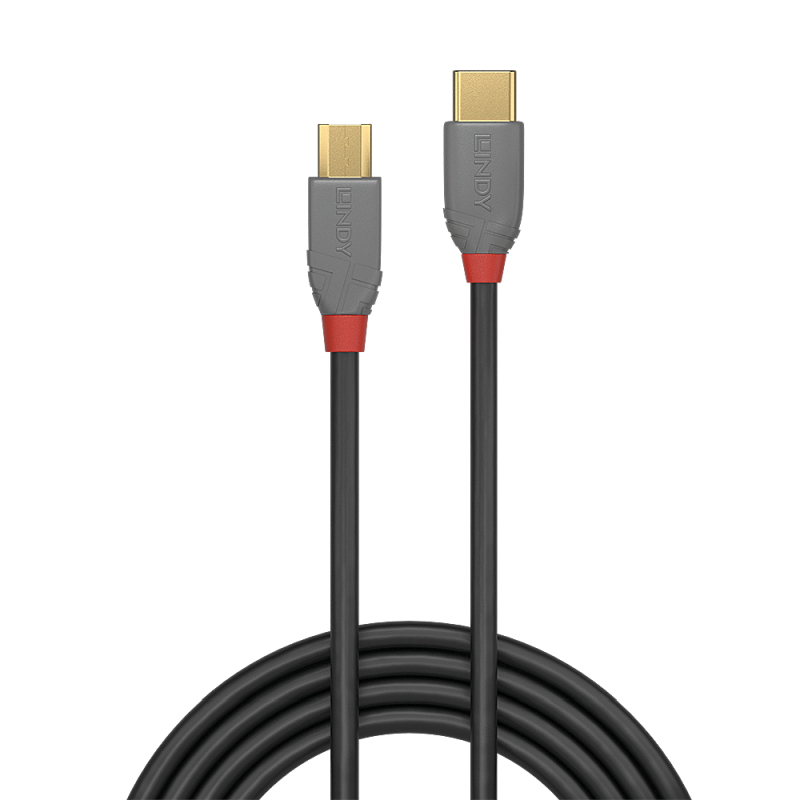 Lindy .5m USB2 C-Micro-B Cable - Image 2