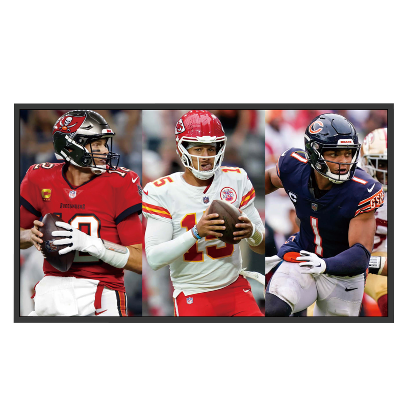 Mitsumaru Outdoor TV IP65 65''