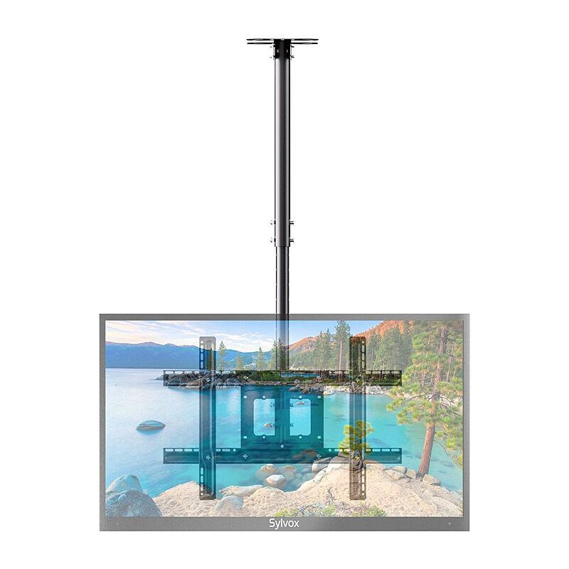 Sylvox Outdoor Ceiling Mount - Image 2