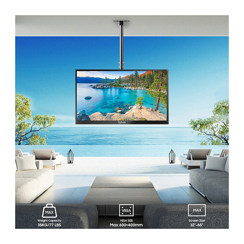 Sylvox Outdoor Ceiling Mount - Image 3