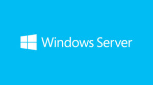 Microsoft R18-05867, Windows Server CAL 2019 English, 1PK DSP OEI 5 CLT User Cal