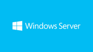 Microsoft R18-05848, Windows Server CAL 2019, English, 1PK, DSP,OEI, 1 CLT User Cal, 1 year
