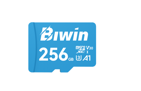 BIWIN MS100-256G microSD3.0 Read & Write Speed up to 100MB/s & 50MB/s BMMS100256G-RGX