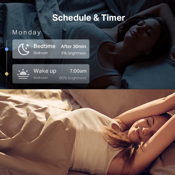 TP-Link Tapo L530E Smart Wi-Fi Light Bulb, Edison Fitting, Multicolour (B22 / E27), No Hub Required, Voice Control, Schedule & Timer, 60W - Image 4