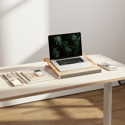 Brateck 2-in-1 Desktop Storage Box, 402x346x36mm, Weight Capacity: 5kg, Removeable Tray: organizes and stores small items (LS) - Image 4