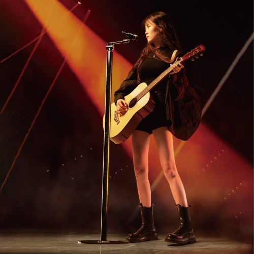 Brateck Flexible Swing-Arm Microphone Floor Stand(NEW), Weight Capacity: 1kg, Black320x320x1597mm(LS) - Image 2