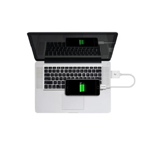 Pisen Mr White Lightning to USB-A Cable (20cm) White - Support Both Fast Charging and Data Cable, Stretch-Resistant, Lightweight, iPhone/iPad/MacBook - Image 2