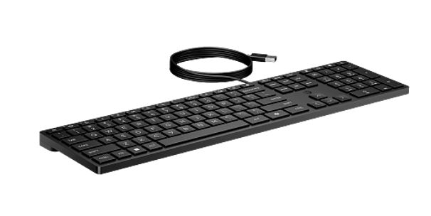 HP Wired 320K Full-Sized Keyboard - Compatible with Windows 10, Desktop PC, Laptop, Notebook USB Plug and Play Connectivity, Easy Cleaning 1YR WTY - Image 4