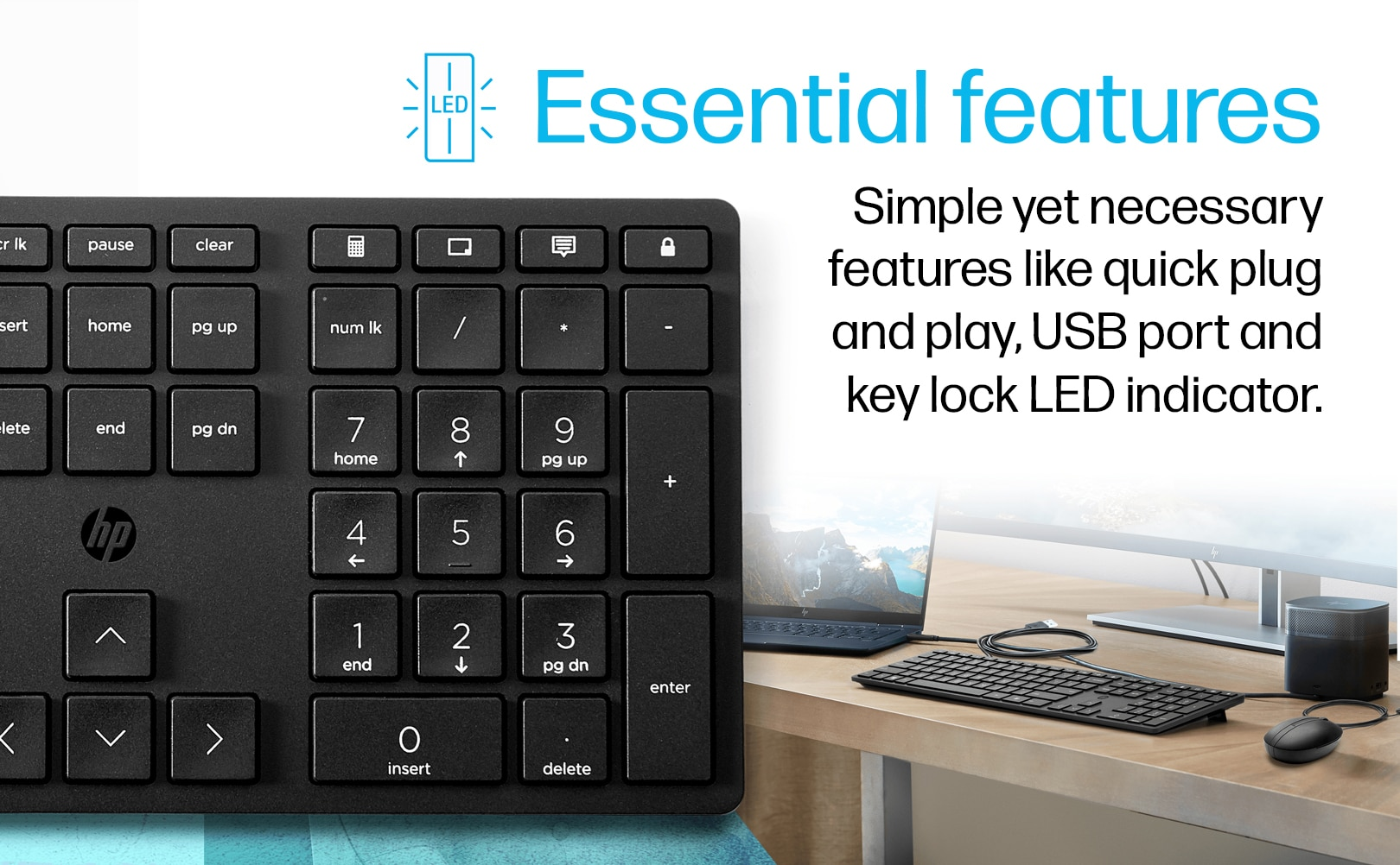 essential features