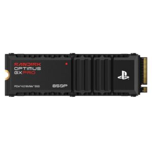 SanDisk 256GB M.2 NVMe SSD