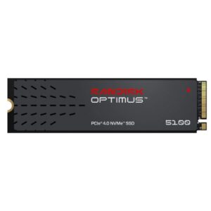 SanDisk 256GB M.2 2280 NVMe SSD
