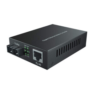 D-LINK DMC-F810SC 10/100/1000Base-T to 1000Base-LX Media Converter with SC Fibre Connector